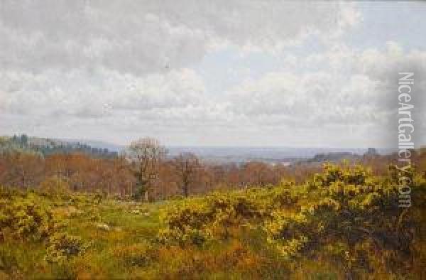 Surrey Hills Oil Painting - Edward Wilkins Waite
