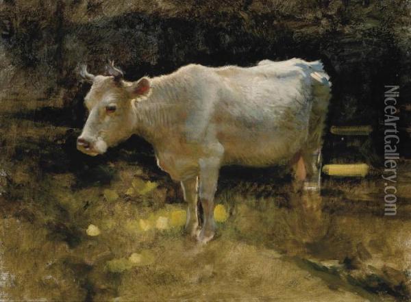 Study Of A Cow In A Meadow Oil Painting - Joseph Farquharson