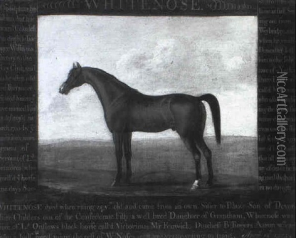 The Earl Of Portmore's Celebrated Bay Stallion Whitenose Oil Painting - Thomas Butler