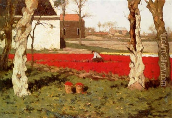 Bulb Field Oil Painting - Antonie Louis Koster