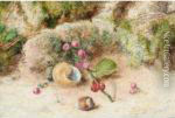 A Still Life Of Berries, A Shell And Hazlenut Oil Painting - William Henry Hunt