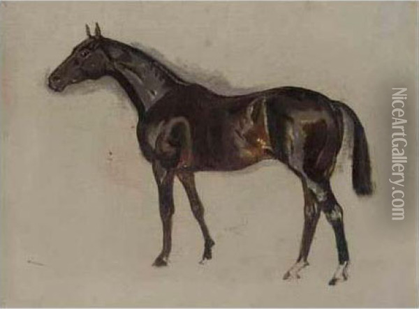 Sketch Of A Dark Brown Horse Oil Painting - James Lynwood Palmer