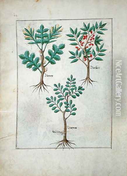 Illustration from the Book of Simple Medicines by Mattheaus Platearius d.c.1161 c.1470 5 Oil Painting - Robinet Testard
