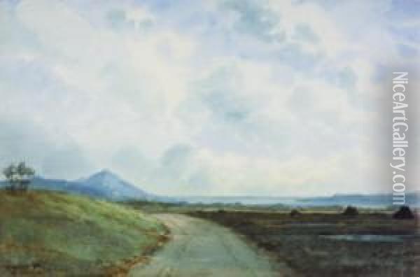 The Road To Leenane, Connemara Oil Painting - Douglas Alexander