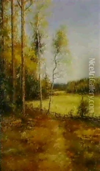 Skogsglanta - Utsikt Mot Ang Oil Painting - Johan Severin Nilsson