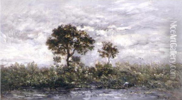 La Mare Aux Cigones Oil Painting - Charles-Francois Daubigny