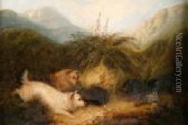Ratting In A Mountainous Landscape Oil Painting - George Armfield