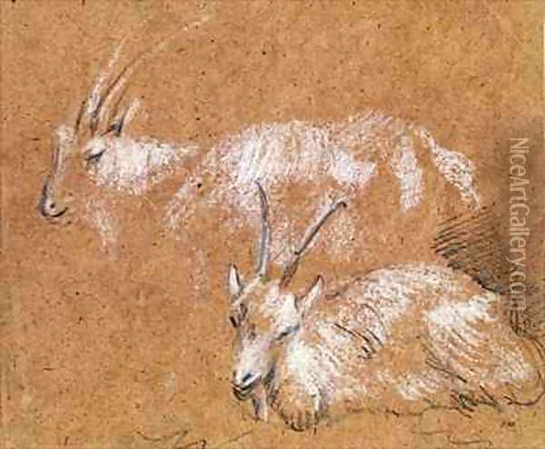 Study of Goats Oil Painting - Thomas Gainsborough