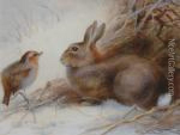 A Rabbit And A Robin. Oil Painting - Charles Whymper