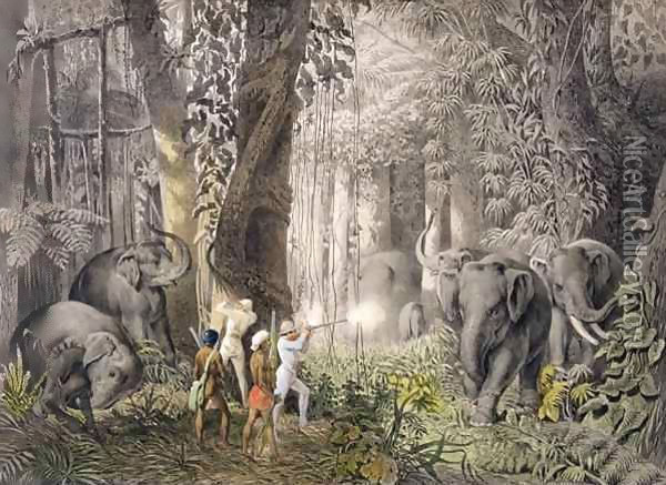 Elephant hunt in the region of Logalla, from 'Travels of Prince Emanual Andrasy in Eastindian Ceylon, Java, China and Bengal' Oil Painting - Graf Emanuel Andrasy