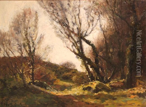 A Wooded Landscape Oil Painting - John Noble Barlow