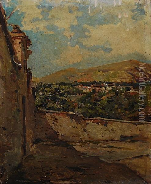 A Yard And Wall, Probably In Southern Spain Oil Painting - Manuel Ruiz Guerrero