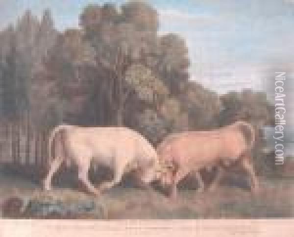 Bulls Fighiting Oil Painting - George Stubbs