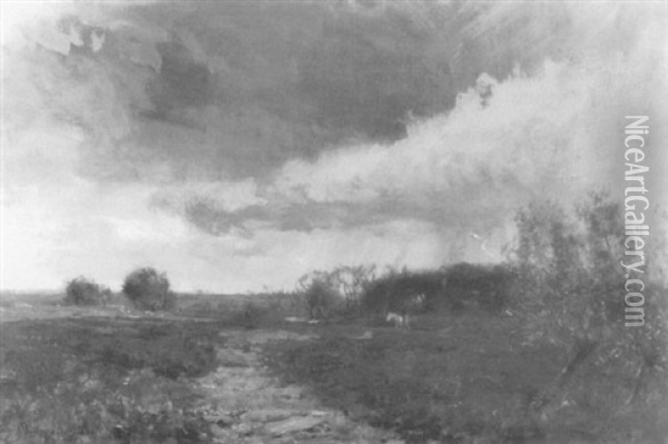 A Storm On The Marais-picardy Oil Painting - Sir David Murray
