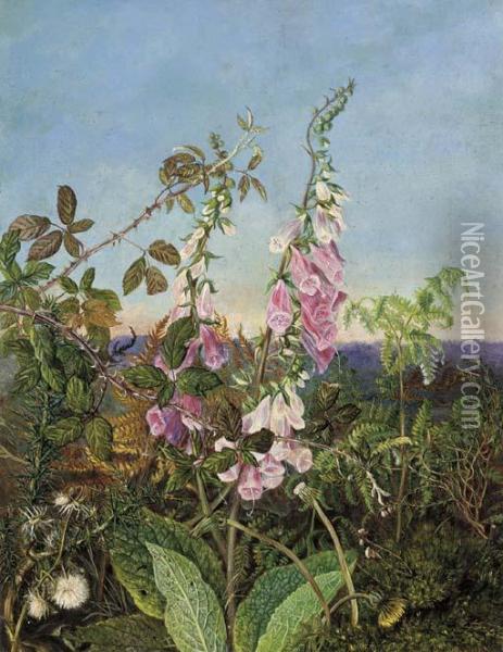 A Summer Hedgerow Oil Painting - Albert Durer Lucas