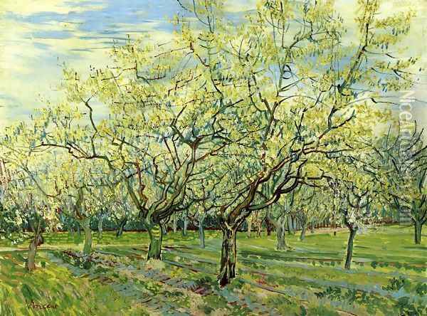 Orchard with Blossoming Plum Trees Oil Painting - Vincent Van Gogh