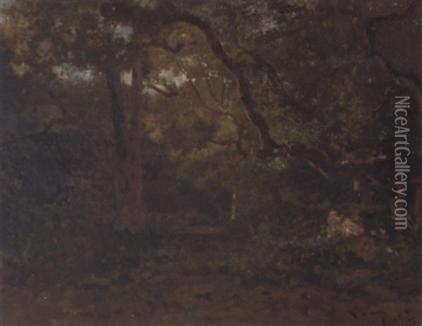 A Clearing In A Forest Oil Painting - Willem Roelofs