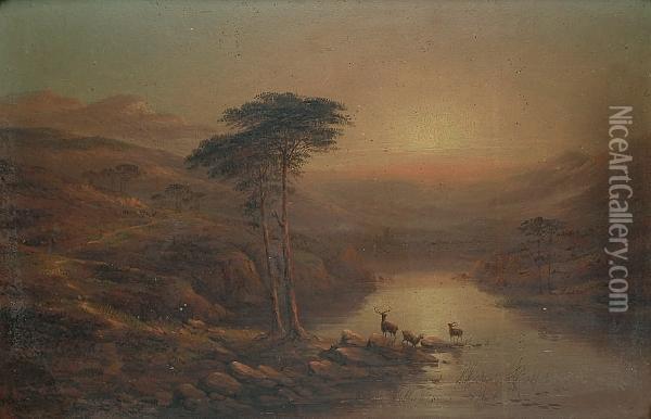 Stags By A Loch At Sunset Oil Painting - W. Haite