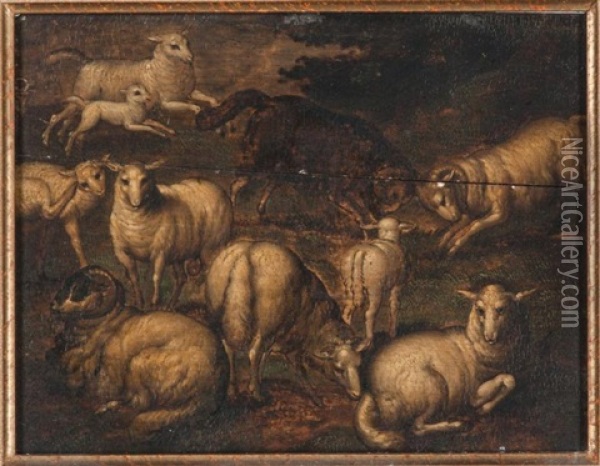 Etude De Moutons Et Beliers (study) Oil Painting - Jan Brueghel the Elder