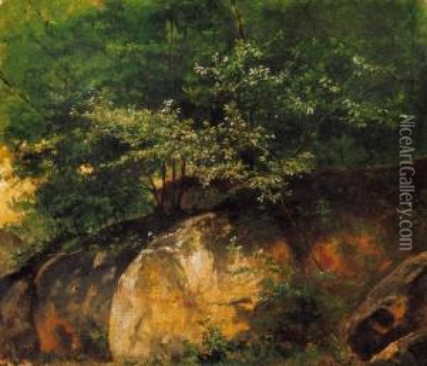 Rocks In The Forest Oil Painting - Sandor Brodszky