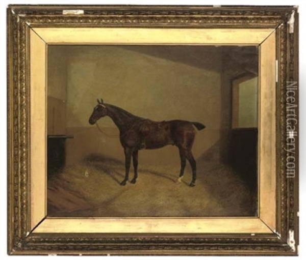 A Bay Hunter In A Stable Oil Painting - Albert Clark