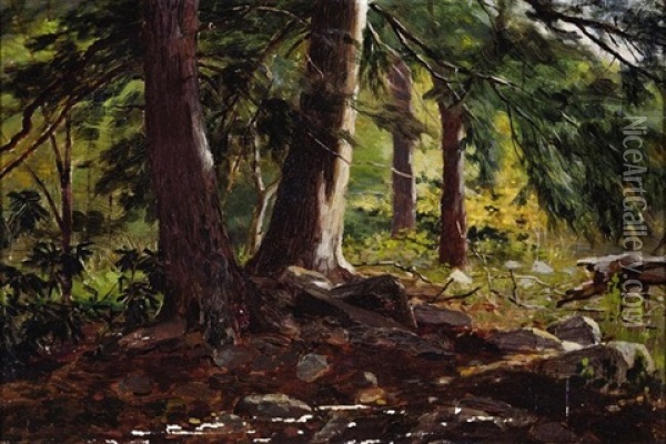Wooded Landscape Oil Painting - Bror Anders Wikstrom