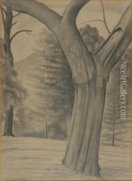 Old Apple Tree Oil Painting - George Copeland Ault
