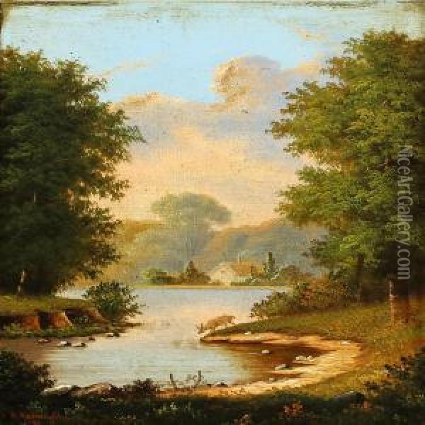 Lake With A Drinking Dear Oil Painting - R.C. Rasmussen