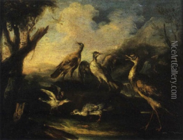 Starne E Altri Volatili In Un Paesaggio Fluviale Oil Painting - Angelo Maria (Crivellone) Crivelli