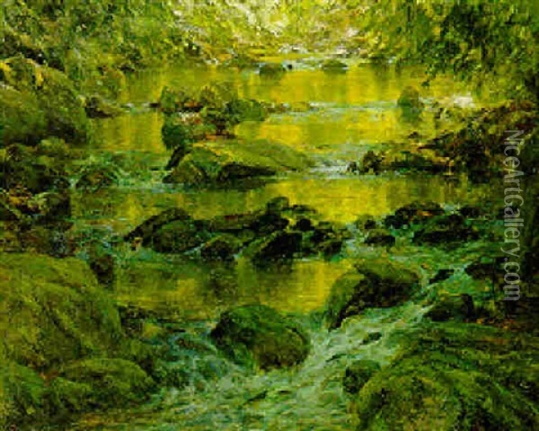 Pond And Rocks Oil Painting - Francis Coates Jones