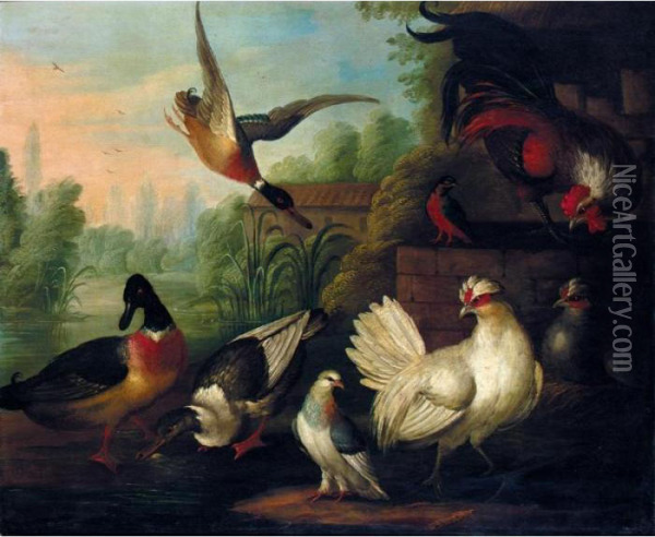 A Still Life With Chickens, Ducks, A Kingfisher And A Pigeon In A River Landscape Oil Painting - Pieter III Casteels