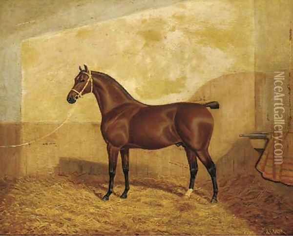 A tethered brown hunter in a stable Oil Painting - A. Clark