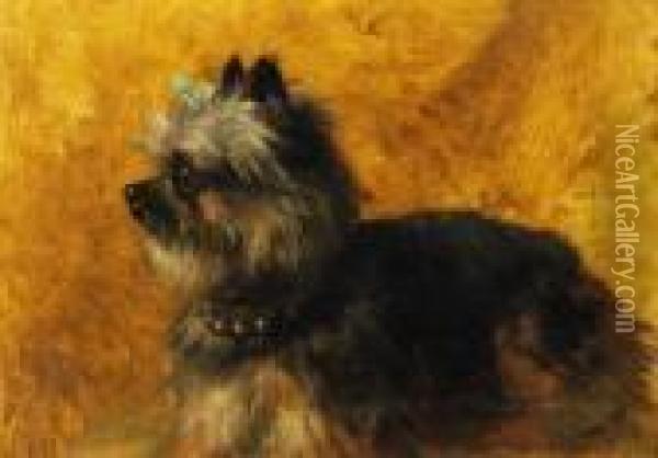 Yorkshire Terrier Oil Painting - Henriette Ronner-Knip