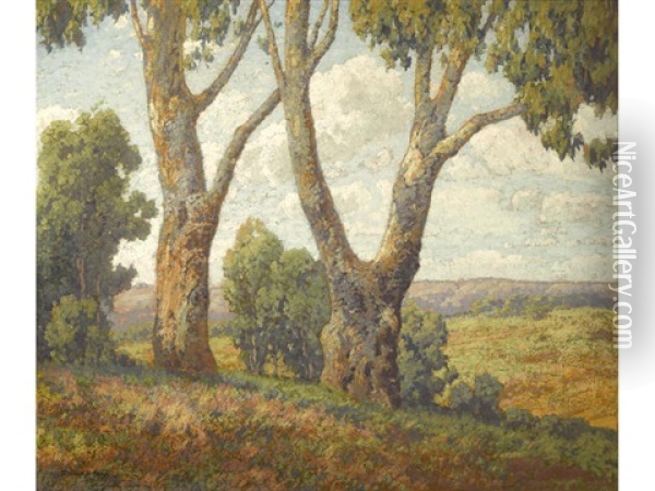Majestic Trees With A Landscape Beyond Oil Painting - Maurice Braun
