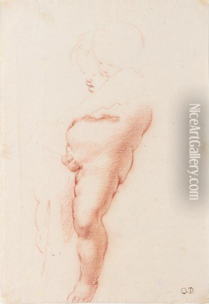 A) Study Of A Young Nude Boy Oil Painting - Ottaviano Dandini