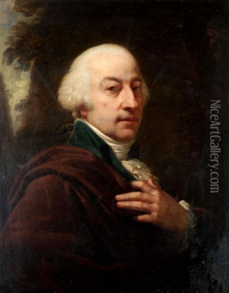 Portrait Of A Gentleman Oil Painting - Jean Laurent Mosnier