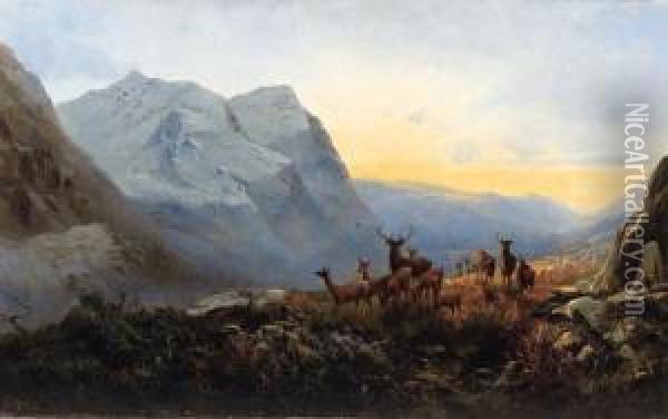 A Highland Dawn, Pass Of Glencoe, Scotland Oil Painting - Andrew Melrose