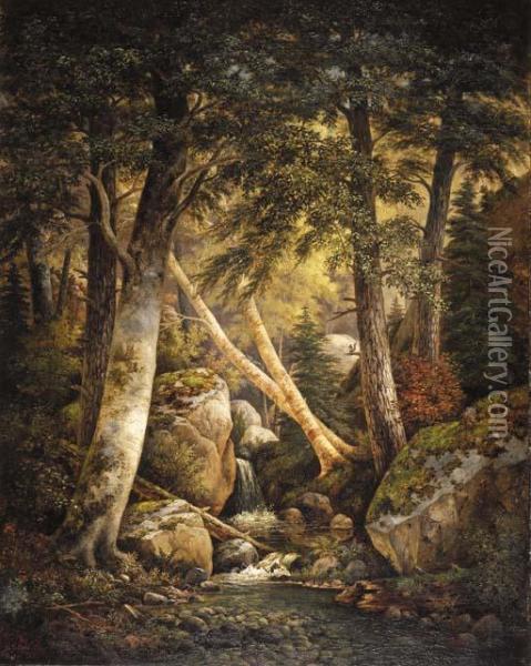 Wooded Interior Oil Painting - Henry Chapman Ford