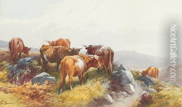 Cattle Oil Painting - Thomas, Tom Rowden