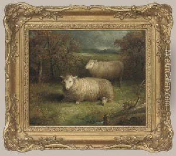 Sheep In A Landscape Oil Painting - Abel Hold