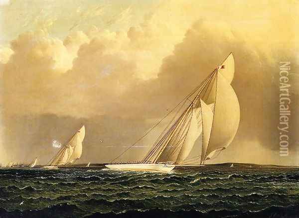 Yacht Race in New York Harbor Oil Painting - James E. Buttersworth