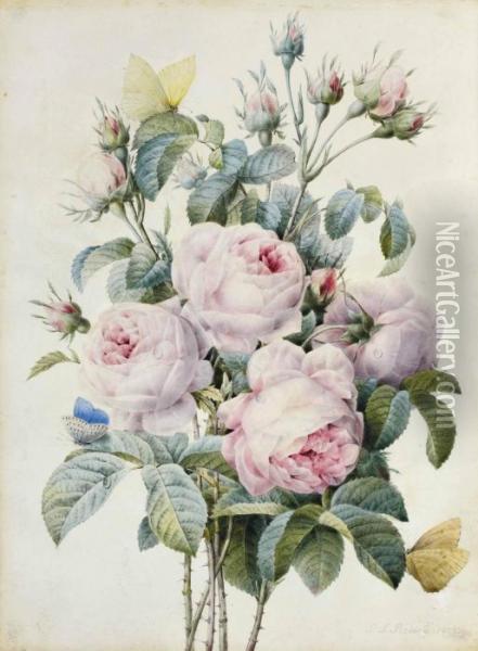 Bouquet De Roses Et Papillons Oil Painting - Pierre-Joseph Redoute