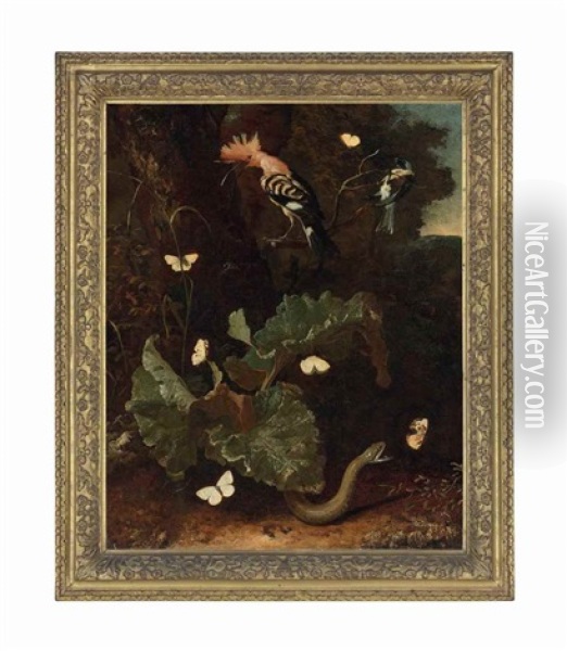 A Forest Floor With A Snake, A Hoopoe And Butterflies Oil Painting - Melchior de Hondecoeter