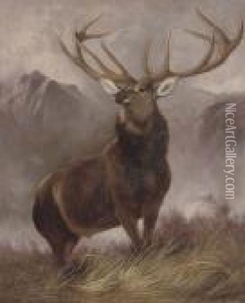The Monarch Of The Glen Oil Painting - Landseer, Sir Edwin