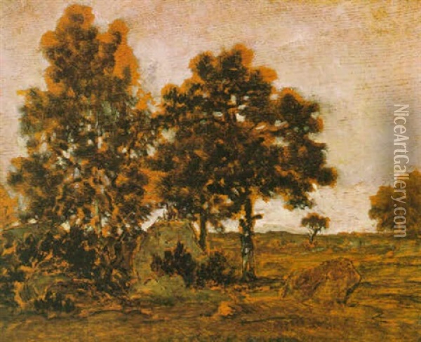 Arbres Et Rochers Sur La Plaine De Barbizon Oil Painting - Theodore Rousseau