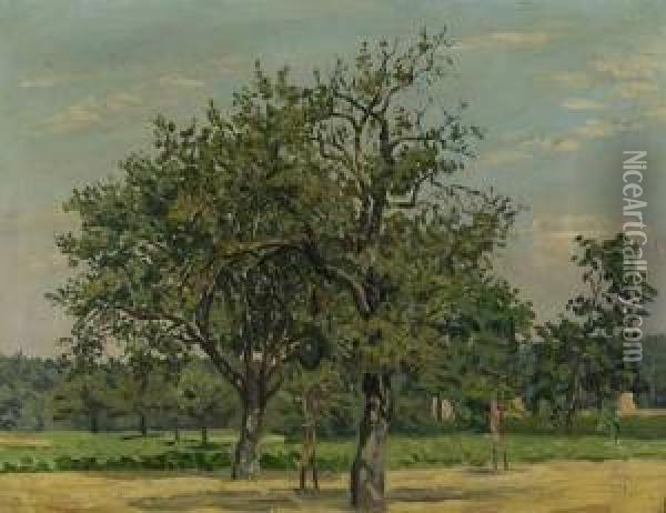 Apfelbaume In Sommerlandschaft Oil Painting - Friedrich W. Mook