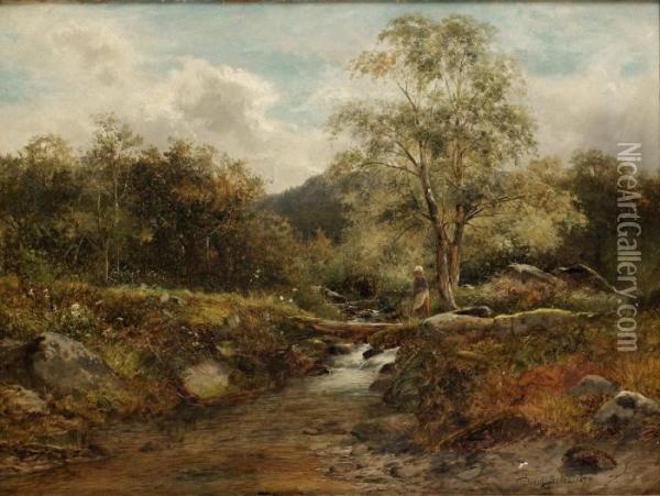 Brook At Capel Curin Oil Painting - David Bates