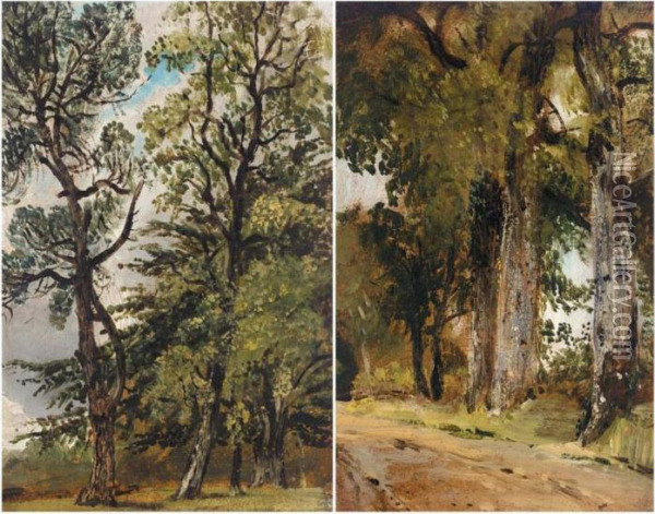 Studies Of Trees Oil Painting - Frederick Waters Watts
