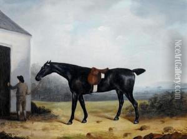 A Dark Bay Hunter With A Groom In Alandscape Oil Painting - J. Francis Sartorius