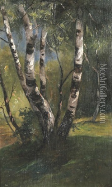 Birken Im Fruhling (study) Oil Painting - Christian Friedrich Mali
